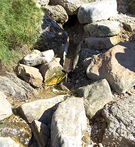Nacimiento del Rio Duero