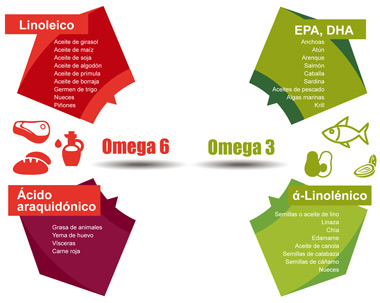 Dónde están los Omega 3 y los Omega 6