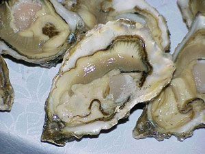 Ostras Ostras