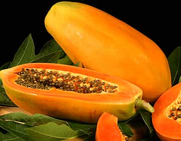 Papaya