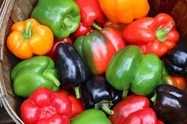 Pimientos Pimientos