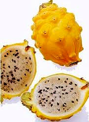 Pitahaya