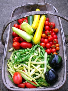 Agricultura integrada, ecológica y biodinámica
