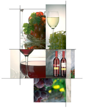 Vinos diferenciados
