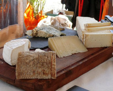 Quesos de Castilla y León Quesos de Castilla y León