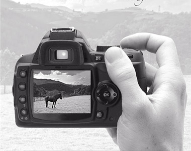 I Rally Fotografico