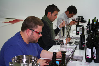 Puntuando los vinos