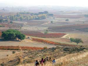 Rutas Guzmán y Pedrosa