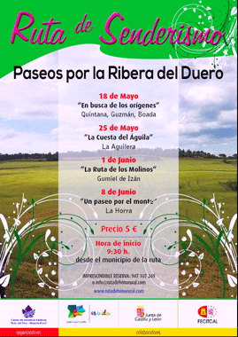 Cartel de "Paseos por la Ribera del Duero"