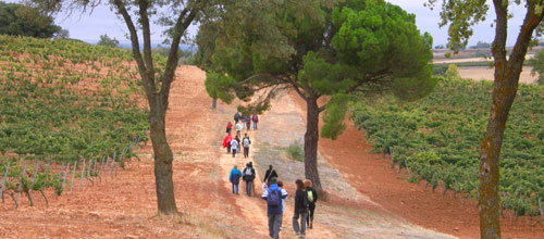 Ruta de la Horra