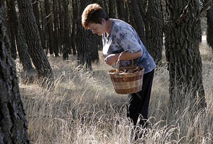 Buscando Setas Buscando Setas
