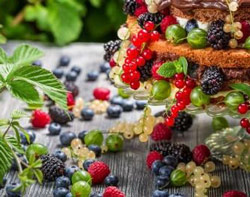 Frutos silvestres comestibles Frutos silvestres comestibles