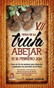 XII feria de la trufa de Abejar (Soria)
