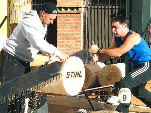 stihl187091500 Fotografía: Javier Marqués