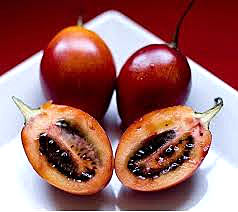 Tamarillo