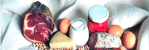 Productos Tierra de Sabor