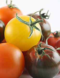 Tomates