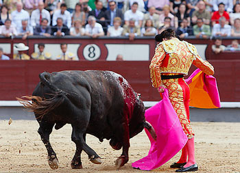  Corrida de Toros