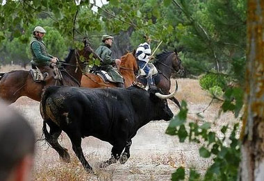 Se prohíbe por decreto la muerte del Toro de la Vega