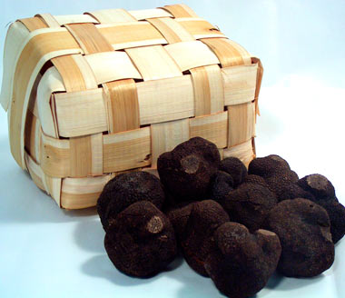 Trufas de Soria