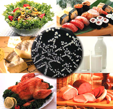 Bacterias en los alimentos