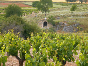 Valcavado de Roa