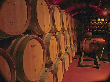 Bodega en la Ribera del Duero Fotografía: Javier Marqués