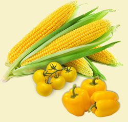 Vegetales amarillos