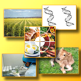 Sanidad Ambiental y Seguridad Alimentaria vici2 Junta y farmacéuticos colaboran en materia de sanidad ambiental y seguridad alimentaria