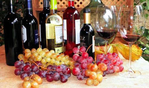 Vinos de Castilla y León Vinos de Castilla y León