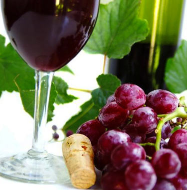 VIII Jornadas Técnicas sobre Viticultura y Enología