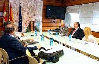 Premios Zarzillo 2013